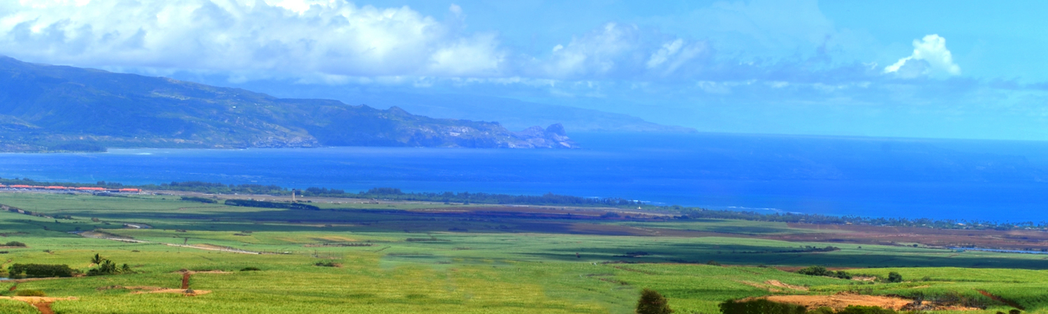 Banner image of Upcountry